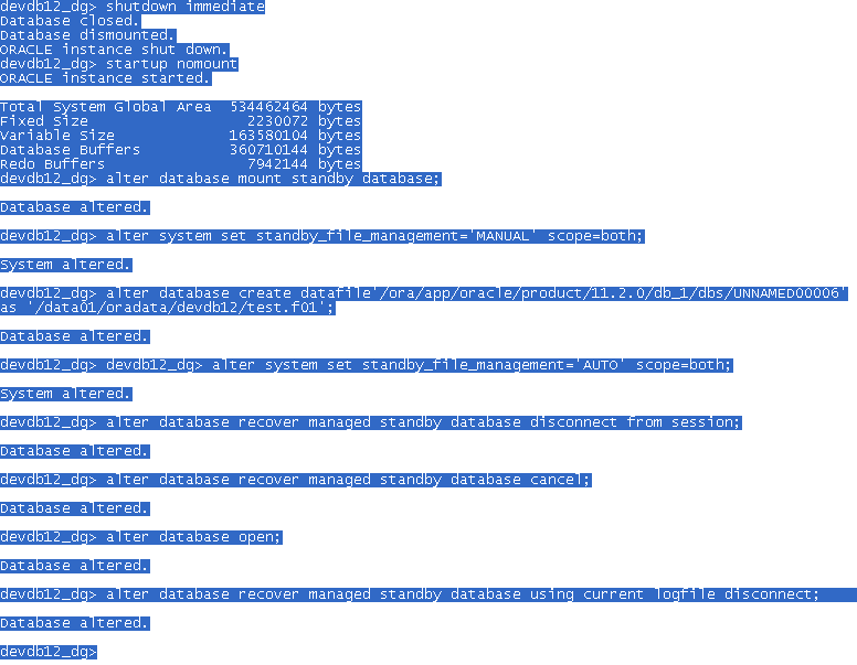 My Oracle Standby database UNNAMED file error issue