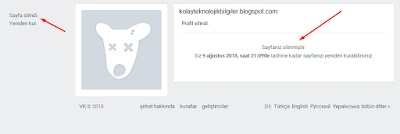 vk Vkontakte hesap silme nasıl yapılır 6