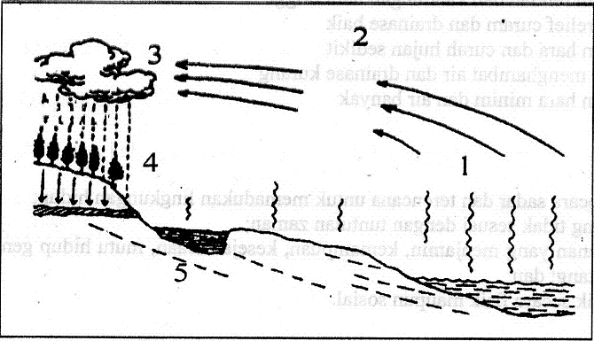 View Contoh Soal Usbn Geografi Sma Dan Kunci 18 Background