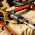 Arms (Amendment) Bill 2019
