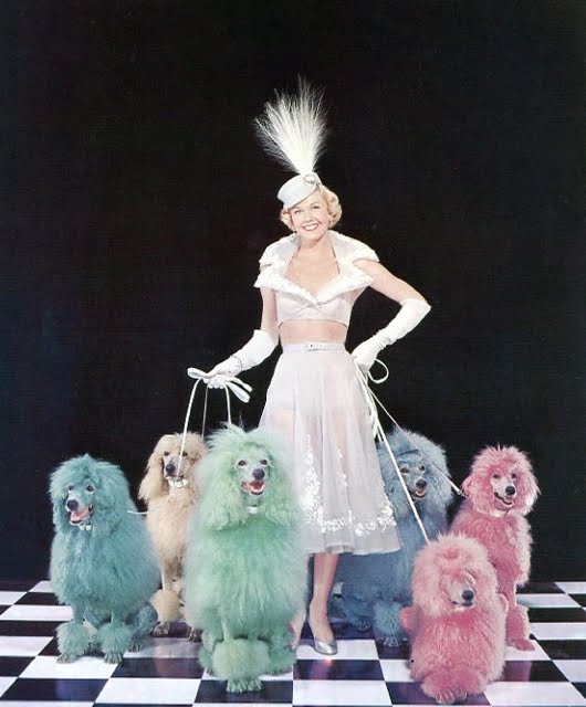 Wild Walla Walla Wine Woman™ Stop Dissecting the Wine Blogger The