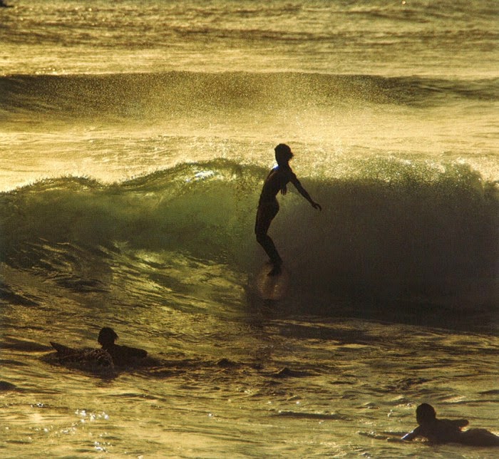 When Surfing Is More Popular Than Ever Stunning Pictures of California