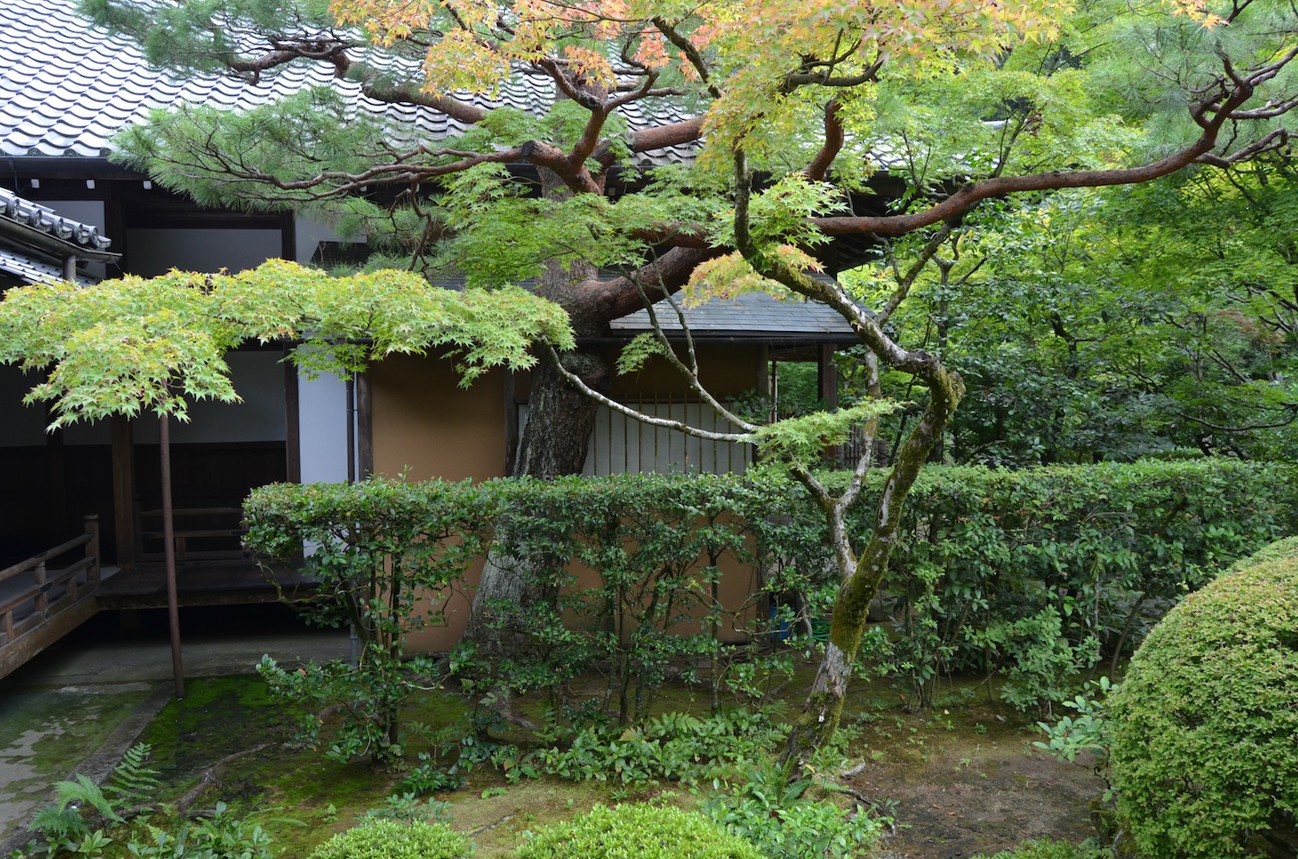 Noel's Garden Blog: A hard look at the Japanese garden - Part One