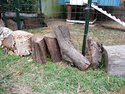 fence chicken coop bottom wire put arduino wood metal inside along