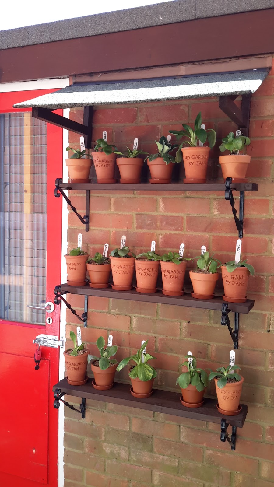 Tidy Gardens By Jane Auricula Theatre Auricula Theatre