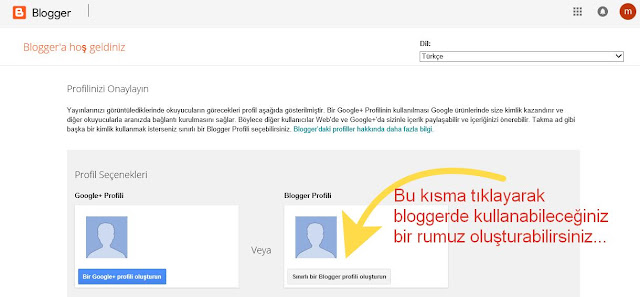 Blog Sitesi Nasil Açılır