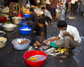 fish, sorting, baskets, sassoon docks, fish sellers, mumbai, streetphoto, incredible india