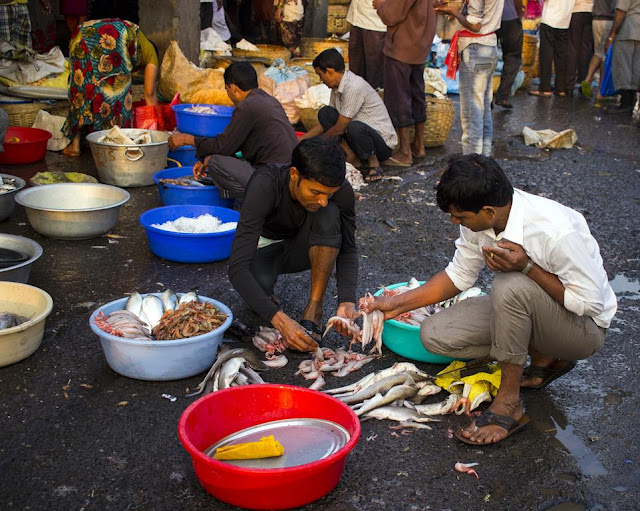 Mumbai Daily Fish sorting