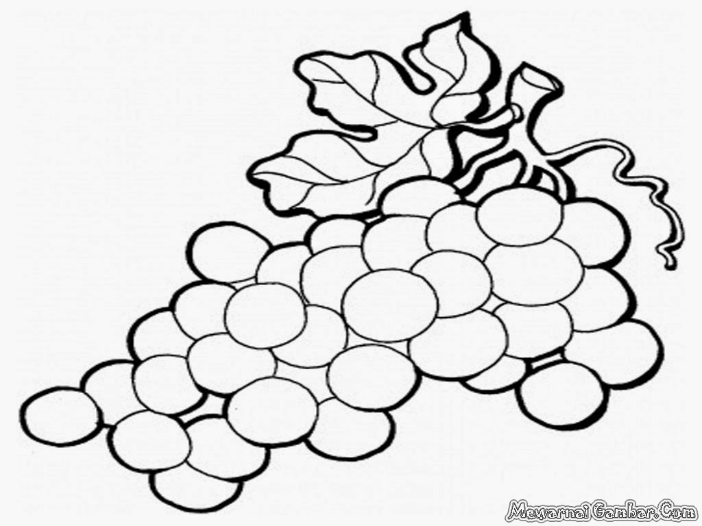 94 Gambar Anggur Untuk Di Warnai Terlihat Keren 94 Gambar Anggur Untuk Di Warnai Terlihat Keren