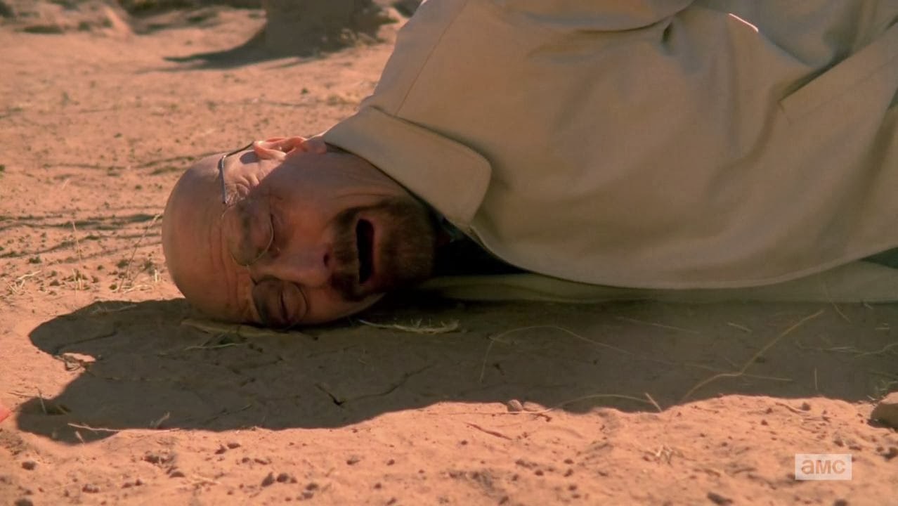 Resultado de imagem para breaking bad 5x14
