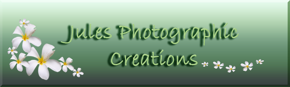 Julie Napier Photographic Creations Home Page