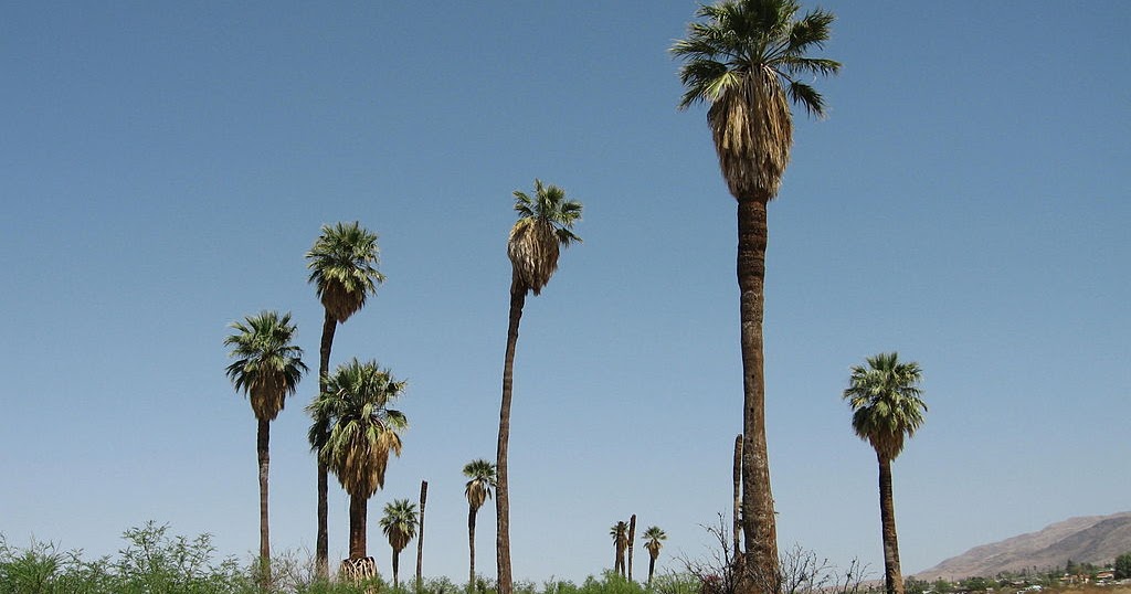 Joe Dorish Weather 10 AllTime Hottest Weather Temperature Days in