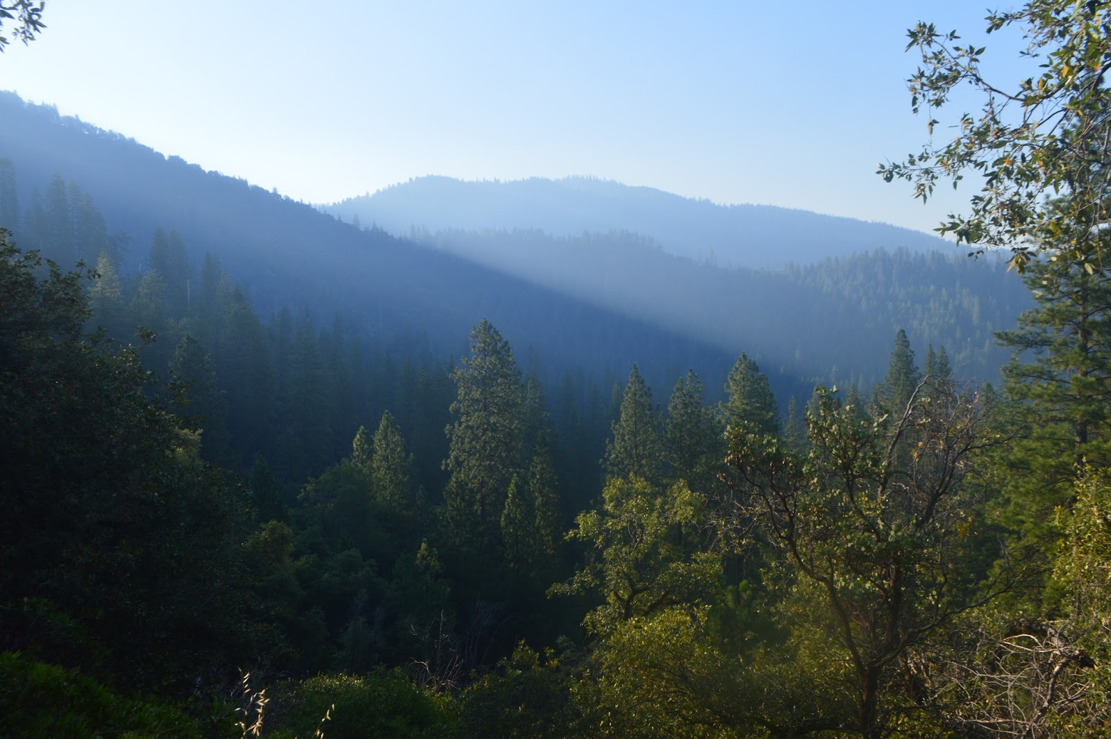 Jasmine's Modern Life Feather Falls, CA