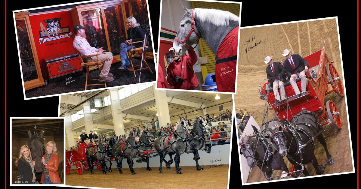 Hunter Day Yukon >> Eaglesfield Percherons: Gentle Giants $100,000 Invitational North American Six Horse Hitch ... Hunter Day Yukon >> Eaglesfield Percherons: Gentle Giants $100,000 Invitational North American Six Horse Hitch ...