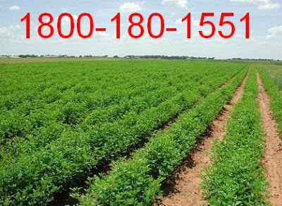 किसान कॉल सेंटर से जानकारी Kisan call center se jankari