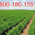 किसान कॉल सेंटर से जानकारी Kisan call center se jankari