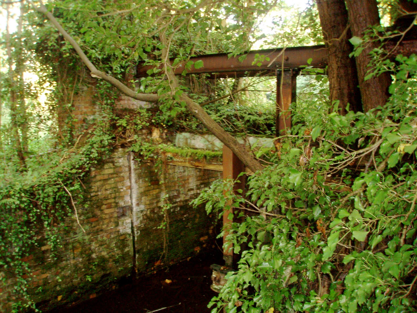 Culture in a Cold Climate The Linen Mill, Antrim