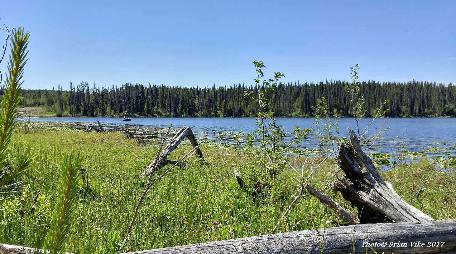 Northern Interior British Columbia Fishing Irrigation Lake Houston
