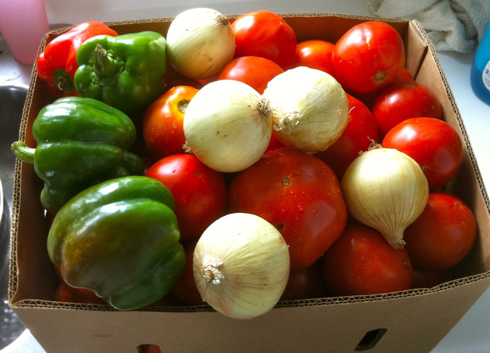 How Much Does Half A Bushel Of Tomatoes Weigh at John Dennis blog