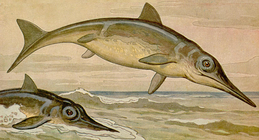 Creation - The Written Truth: MARINE REPTILES, EXTINCT MARINE REPTILES