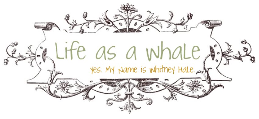 Life as a WHale