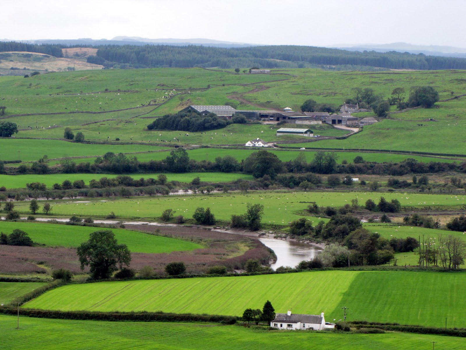 The Glebe Blog Pics from Blackcraig and Kirkandrewsan unsettled week