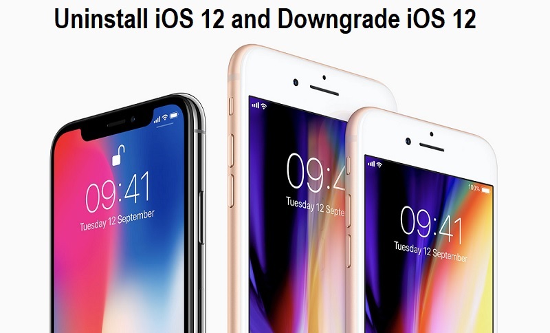 Downgrade iOS 12.5.7