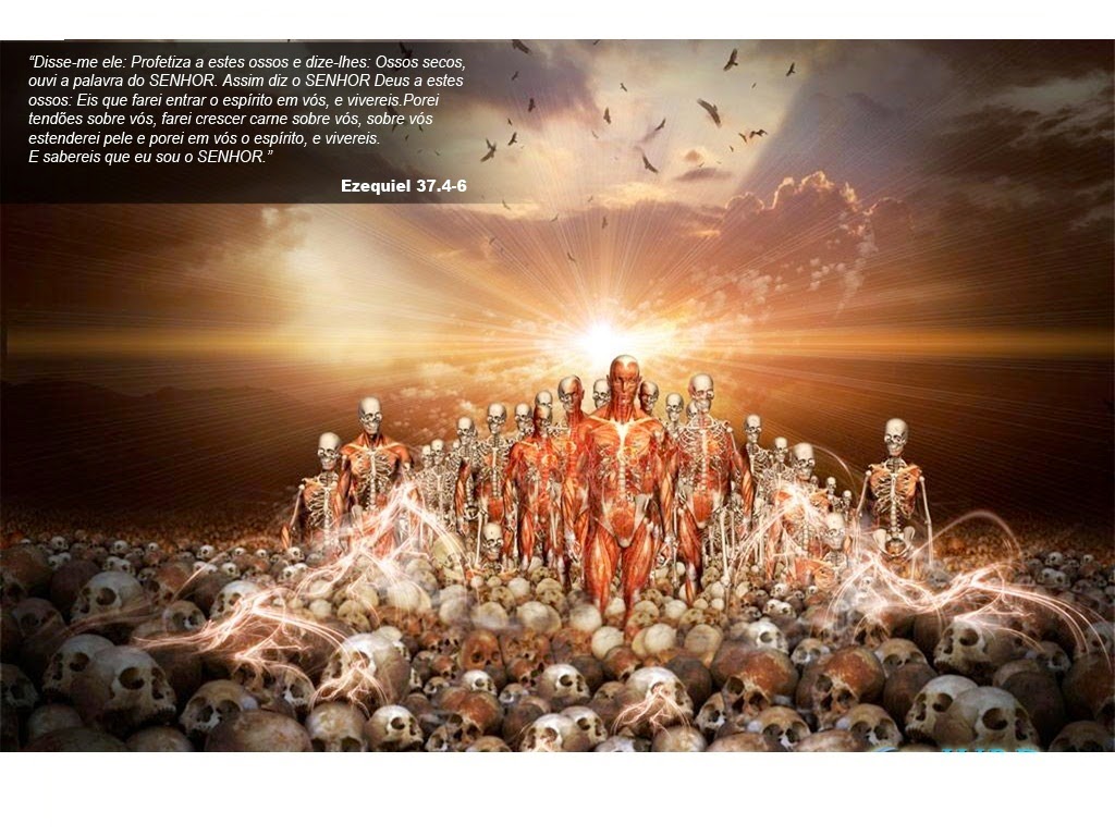 o-aviso-de-deus-1-vedes-como-vos-fa-o-passar-pelo-vale-dos-ossos-secos