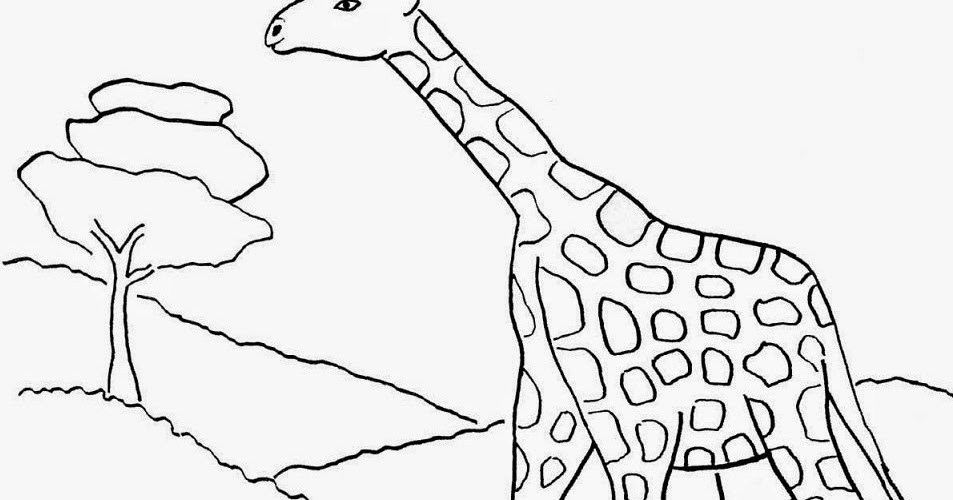gambar mewarnai jerapah