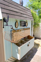 tour coop mckinney house4 texas