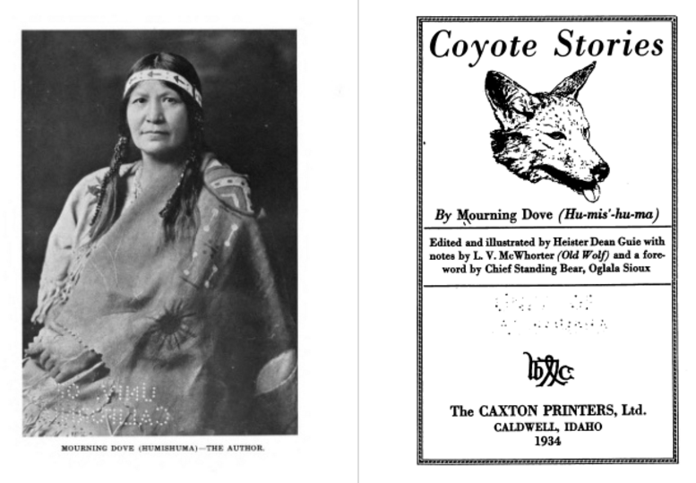 coyote and the buffalo