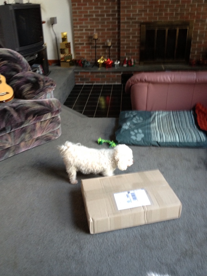 bichonpawz Wash N Zip Pet Bed Review!