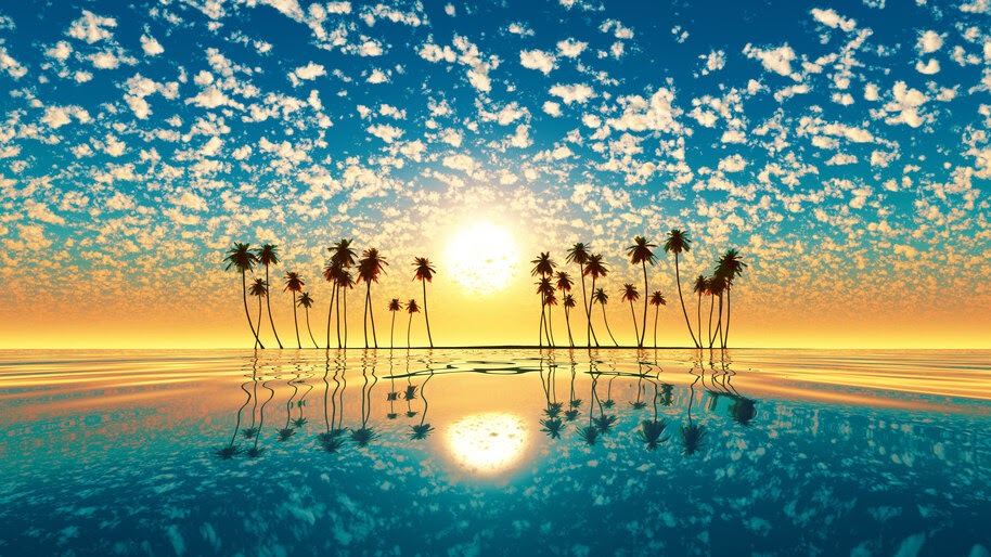 Sea, Sunset, Reflection, Palm Trees, Cloud, Sky, Scenery, 4K, #6.982