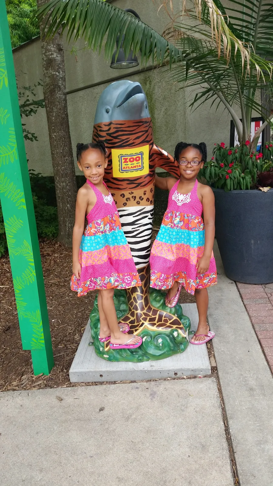 Our Time at Zoo Atlanta