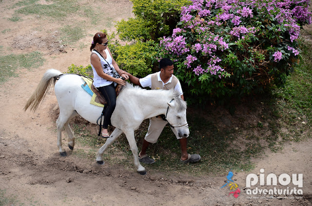 Things to do in Pampanga Zoocobia Fun Zoo