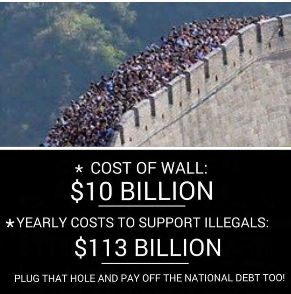 The only wall. Legal illegal meme Mexico Wall. The only wall. Legal illegal meme Mexico Wall.