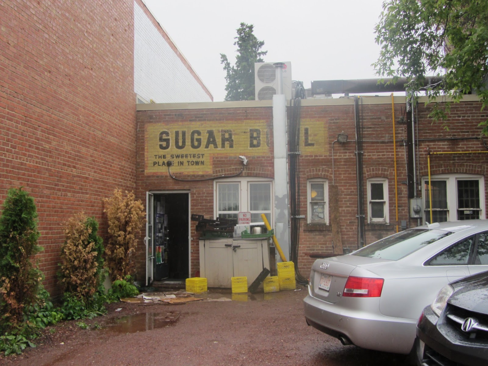run, gloria, run! layover in Edmonton Canadian Hudson's Tap House and