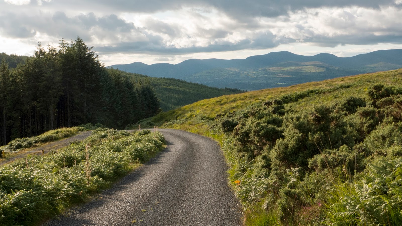 A Backpacker's Life Last Day on Blackwater Way