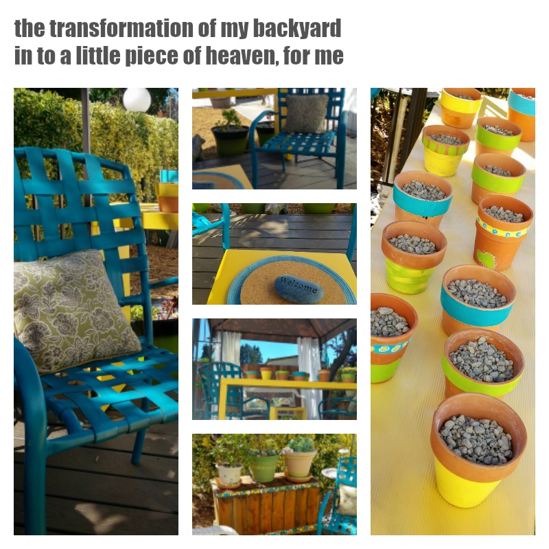 the transformation of my backyard into a little piece of succulent heaven the transformation of my backyard into a little piece of succulent heaven