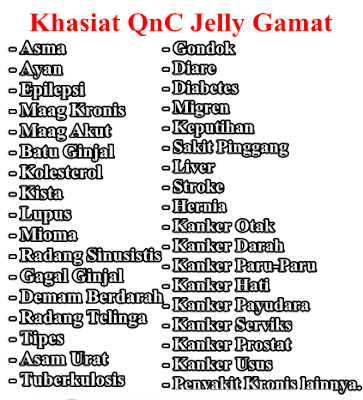 Toko Resmi QnC Jelly Gamat Toko Resmi QnC Jelly Gamat