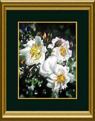 White Roses, original acrylic painting on canvas by Artist Jillian Crider original acrylic painting of white roses on bush in garden by artist Jillian Crider 14x11"