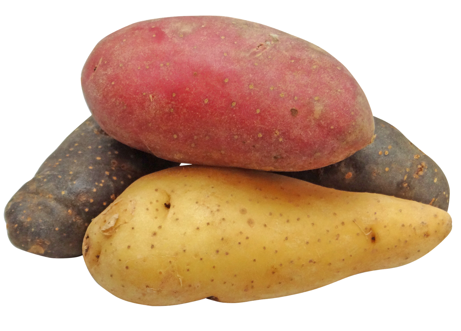 Minerals and Electrolytes Sweet Potatoes Vs. White Potatoes