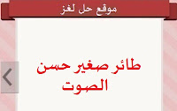 طائر حسن الصوت طائر حسن الصوت