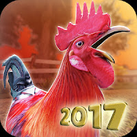 Balap Ayam Jago APK v1.6.0 Mod Unlimited Money Terbaru for Android Balap Ayam Jago APK v1.6.0 Mod Unlimited Money Terbaru for Android
