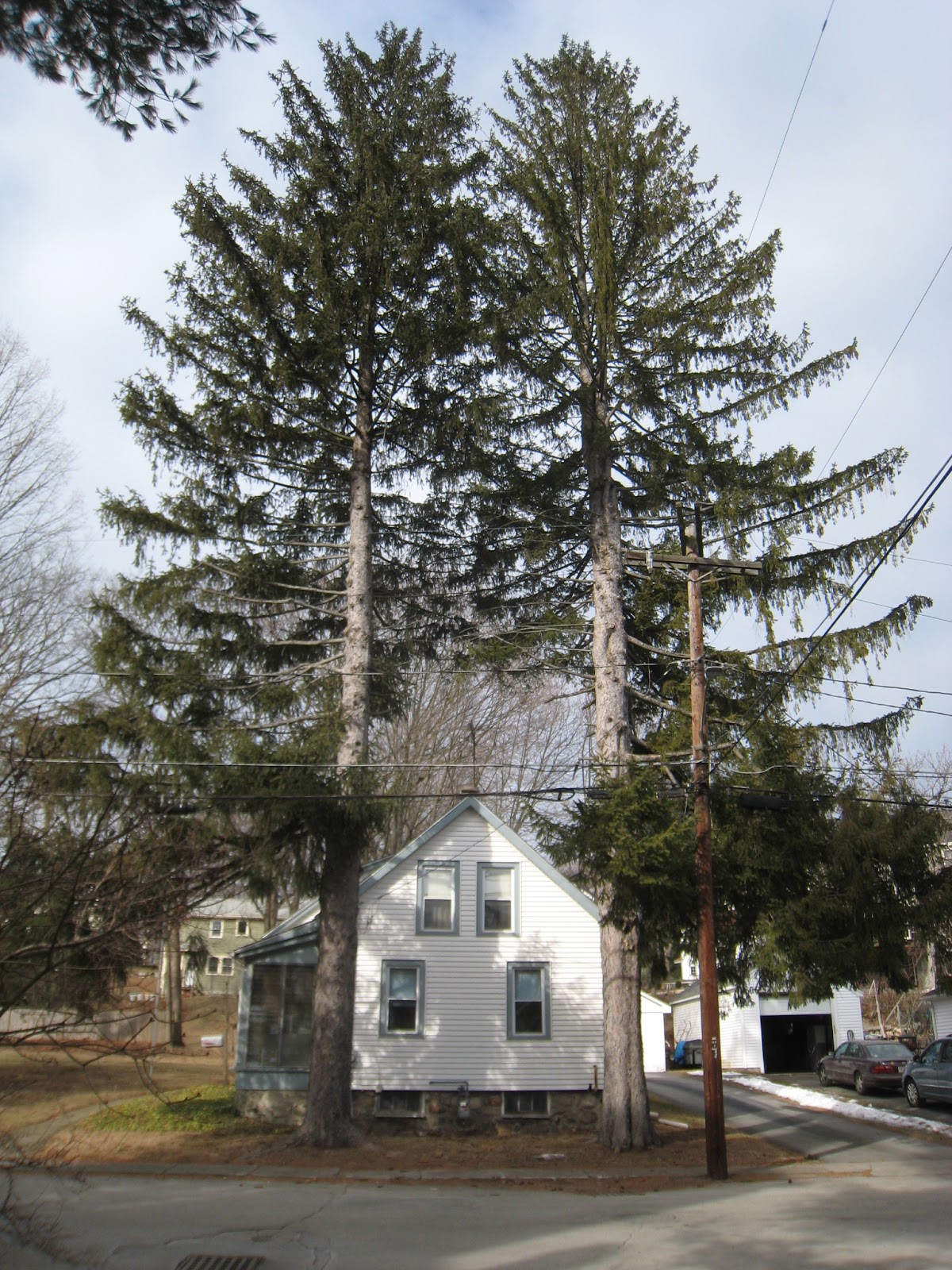 Maynard Life Outdoors and Hidden History of Maynard The Hidden Life of