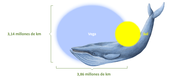 El Sol, Vega y su posible madre biológica