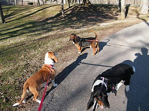 Bad Sports - 3rd place