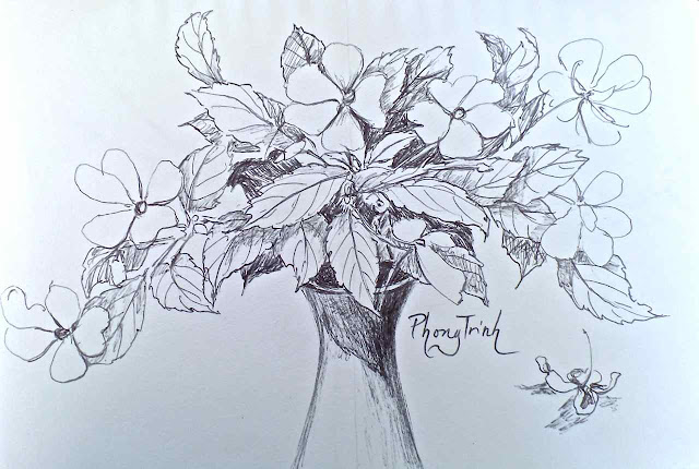 After two day rain and cyclone wind, I went out in the garden. While waiting for better weather, I took little cuttings of impatient for drawing. They were a bit battered so I included the falling flower.  The hand made pottery art of the country died years ago but I still hang on to a few. They are perfect as a way to bring beauty of plants and flowers to the eyes.  Impatient has many colours, white, pink, salmon orange, light red, magenta..It is very easy to grow and perfect to fill in shady places. Because of a wide range of colour, I think it is perfect for floral home garden themes. More importantly, it shows great ability to cope with climate change.  Certainly this plant will bring charm, beauty and excitement to garden lovers! More joy and less work! Enjoy!