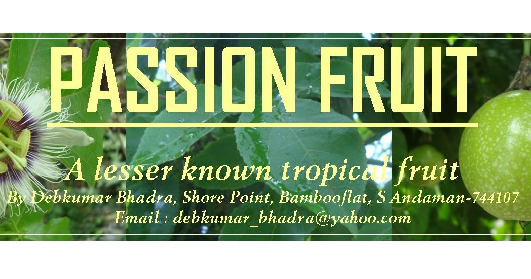 Is Passion Fruit a Citrus? The Botanical Truth Behind a Tropical Icon