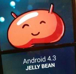 android 4.3 jelly bean